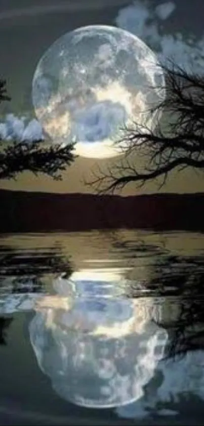 Moonlit lake with full moon reflection and trees.