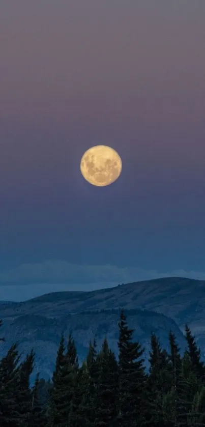 Full moon over mountains with trees silhouetted against a twilight sky.