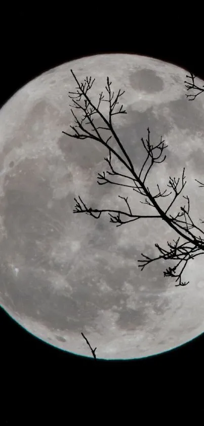 Full moon with a branch silhouette enhancing night sky beauty.