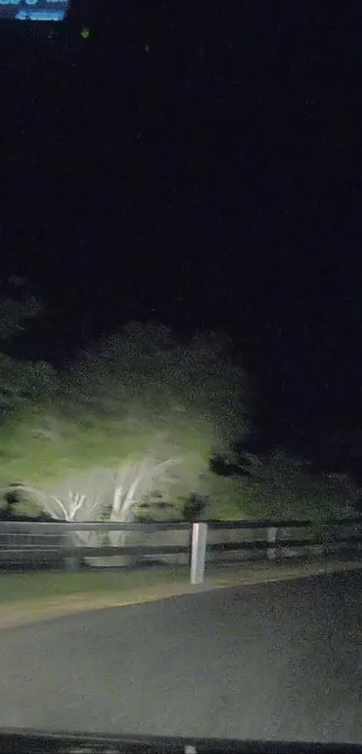 Night drive with illuminated trees and dark road in moonlit scenery.