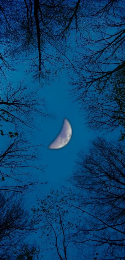 Moonlit forest with crescent moon against a deep blue sky.