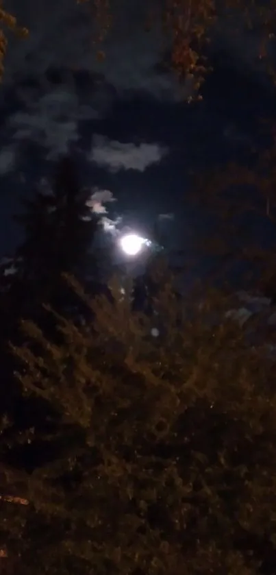 Moon shining over a dark forest with clouds.