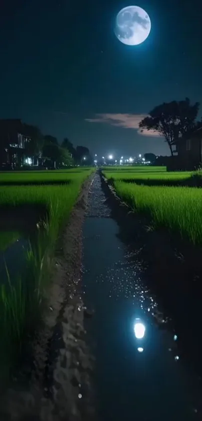 Moonlit rice fields at night under a glowing full moon.