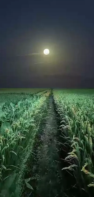 Moonlit night over a lush green field with glowing full moon.