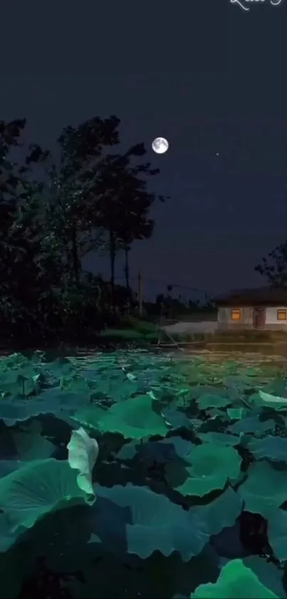 Moonlit night over a lush green lotus pond with a glowing moon.