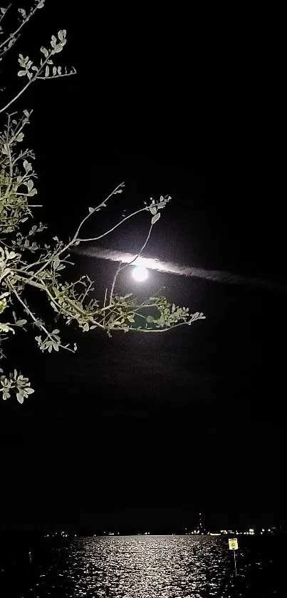 Moonlit night with water reflection and tree branches.