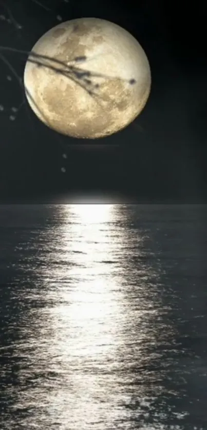 Full moon reflecting on calm water under night sky.