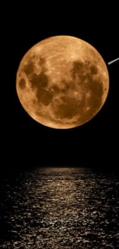 Full moon reflecting on calm waters at night.