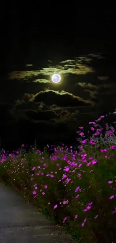 Moonlit road with pink flowers under a night sky.