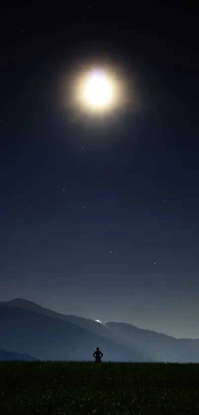 Serene mobile wallpaper of a moonlit night landscape, depicting calm ambiance.