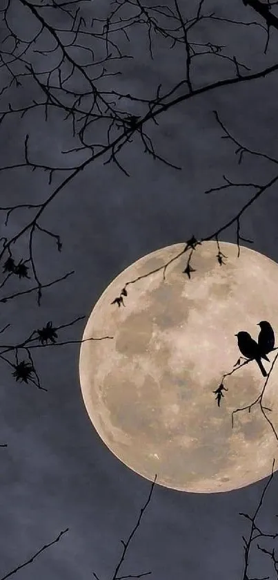 Silhouetted birds on branches with full moon background.