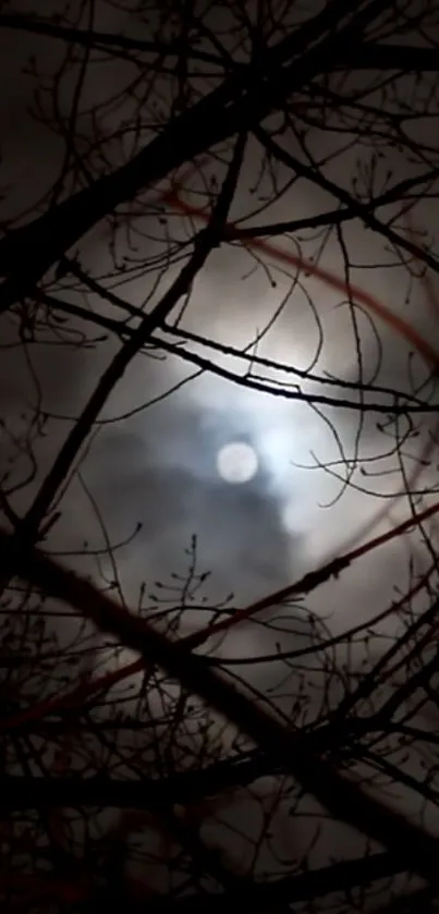 Moonlit night sky with silhouetted branches on wallpaper.