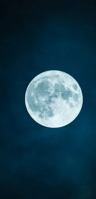 Full moon in a deep blue night sky wallpaper.