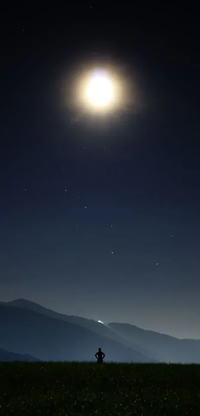 Moonlit scenery with a silhouette under a starry sky.