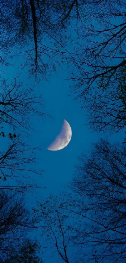 Crescent moon in blue night sky encircled by silhouetted trees.