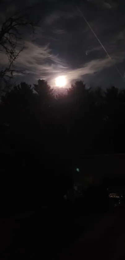 Moon illuminating trees under night sky with clouds.