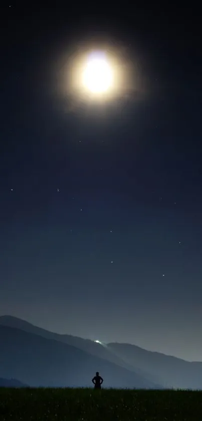 Silhouette under moonlit sky with stars.