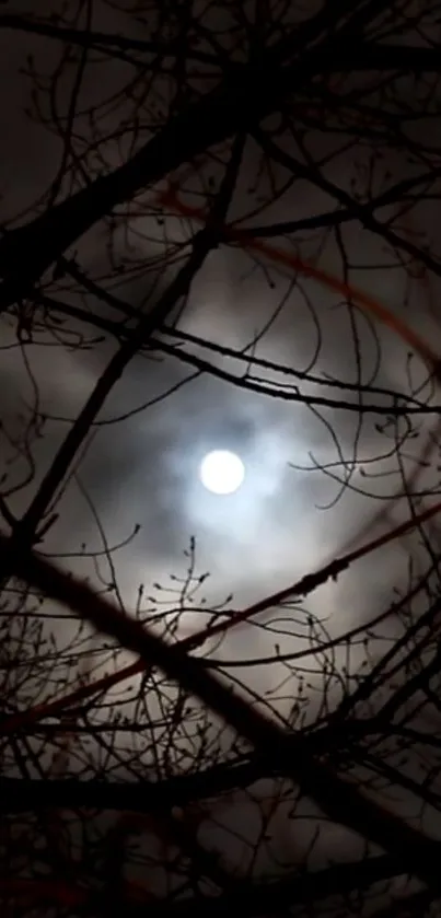 Moonlit night sky with tree silhouettes and cloudy background.