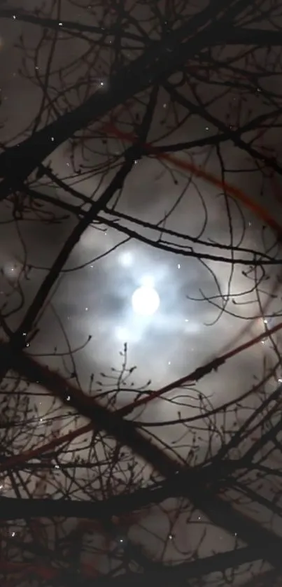 Moonlit night sky with branches and full moon in the center.