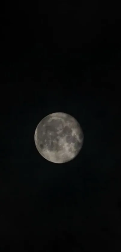 Moonlit night sky with the full moon centered against a dark background.