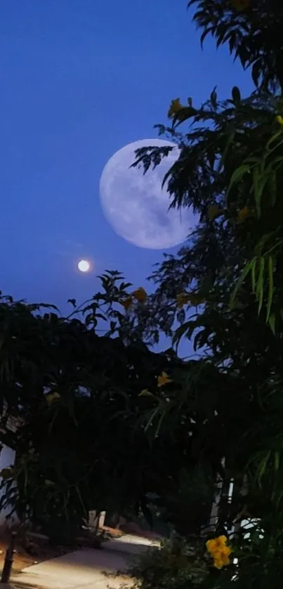 Moonlit night sky with vibrant foliage.