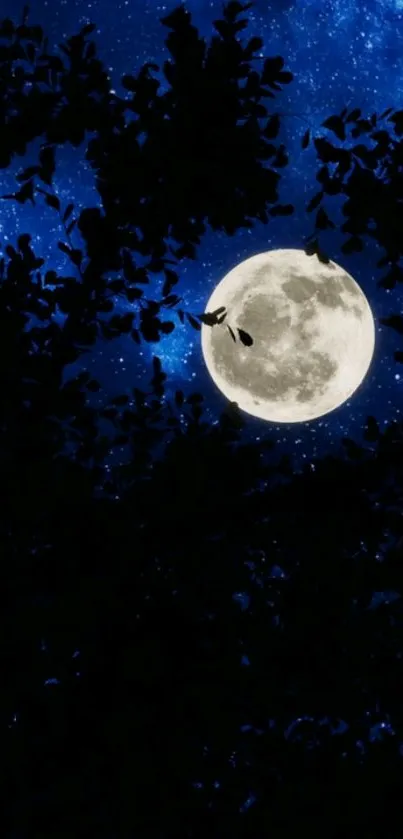 Full moon through branches in starry night sky.