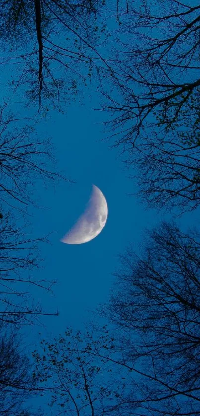 Crescent moon with trees silhouetted against a dark blue night sky.