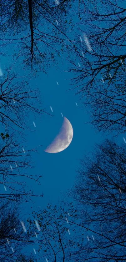 Crescent moon in a serene blue night sky with silhouetted trees.