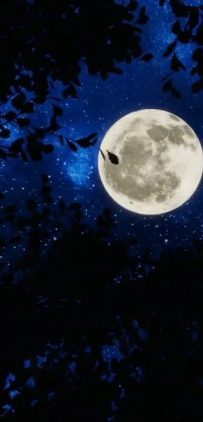 Moonlit night sky with stars and silhouetted tree branches.