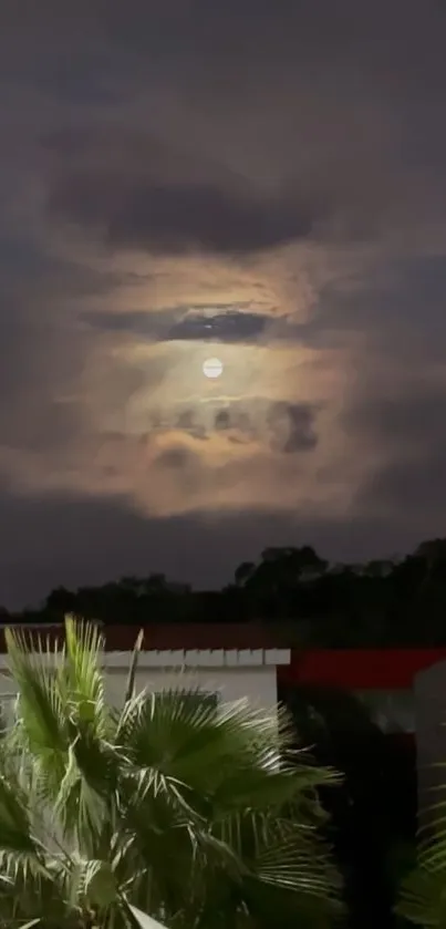 Moonlit cloudy night sky over green plants.