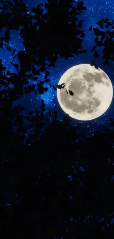 Full moon and tree silhouettes against a starry blue night sky.