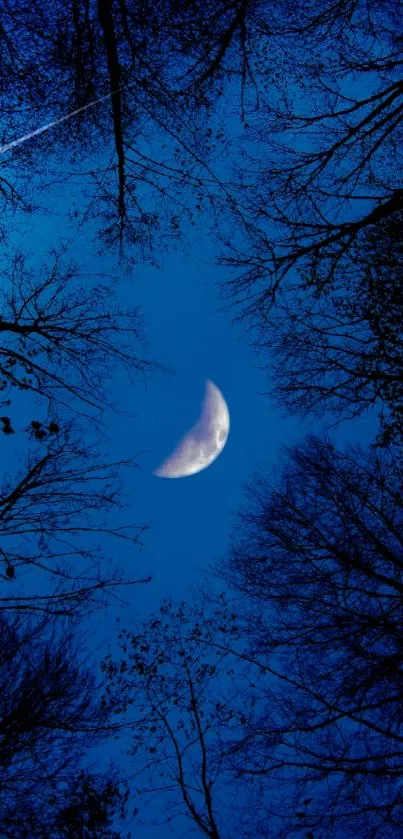 Crescent moon and trees silhouetted against a deep blue night sky.