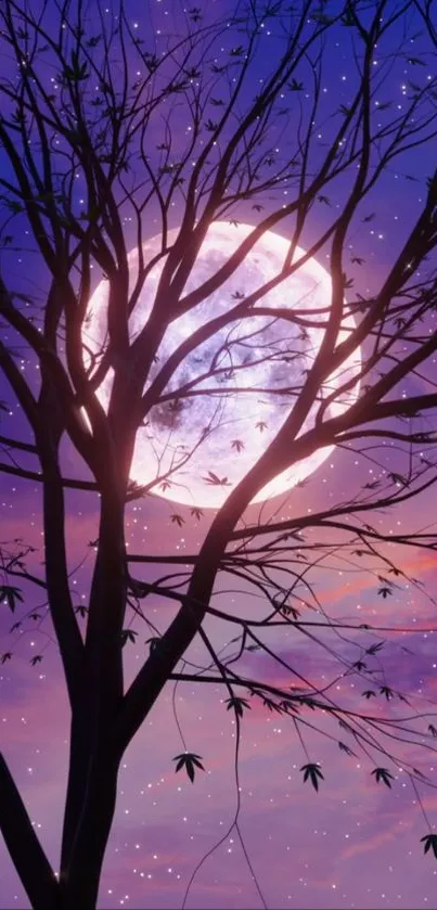 Silhouette of a tree against a luminous moon and purple night sky.