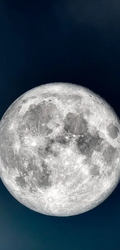 Full moon against a dark night sky wallpaper.