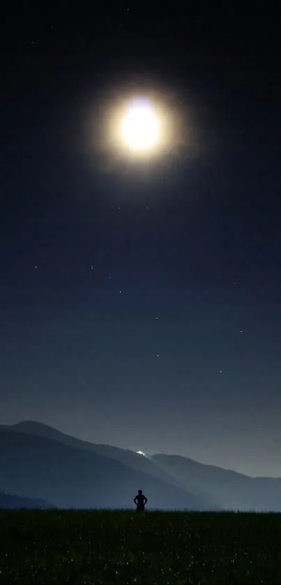 Silhouette under a bright moon at night.