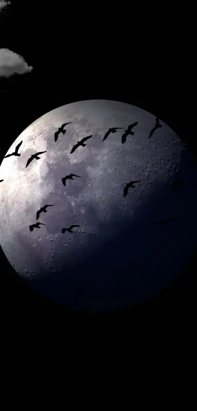 Moonlit night sky with birds silhouetted against the moon and dark clouds.