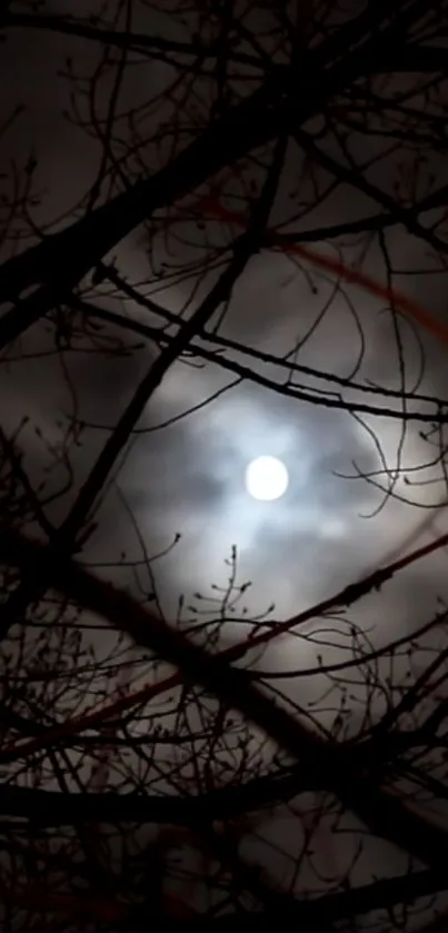 Moonlit night with tree silhouette and cloudy sky.