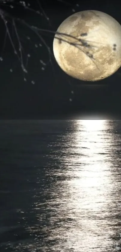 Full moon reflecting on calm night waters with a dark sky.