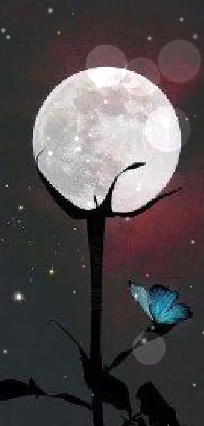 Moonlit night with blue butterfly under the dark sky.