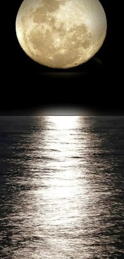 Full moon reflecting over ocean water at night.