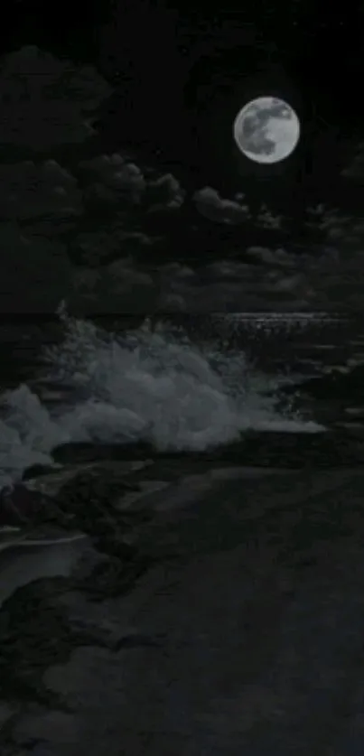 Moonlit ocean night scene with crashing waves.