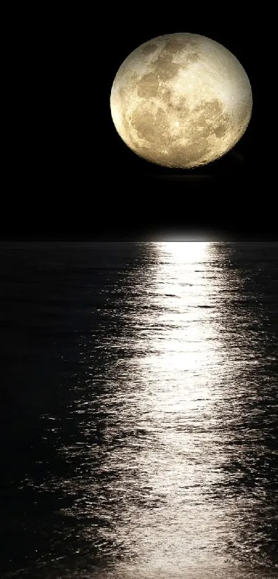 Moonlit ocean scene with night sky reflection on calm water.