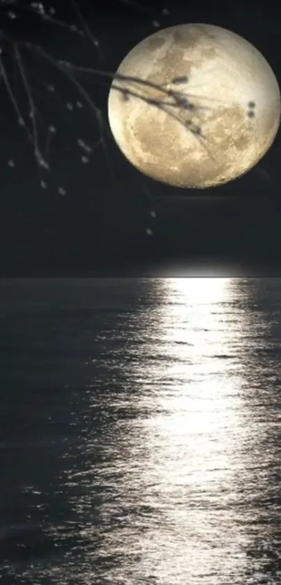 Full moon reflecting on the ocean during a calm, serene night.