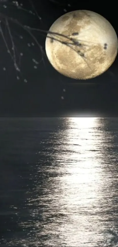 Moonlit ocean night with full moon reflecting on water.