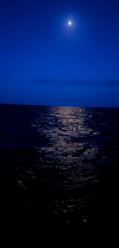 Moonlit ocean at night under a blue sky.