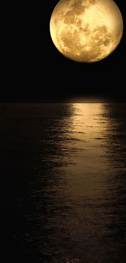 Full moon reflecting on the dark ocean water, creating a serene nighttime scene.