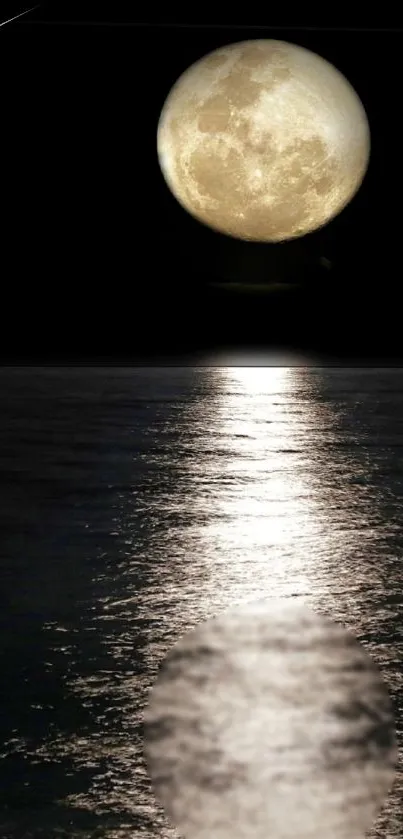 Moonlit ocean reflection with serene water and a full moon overhead.