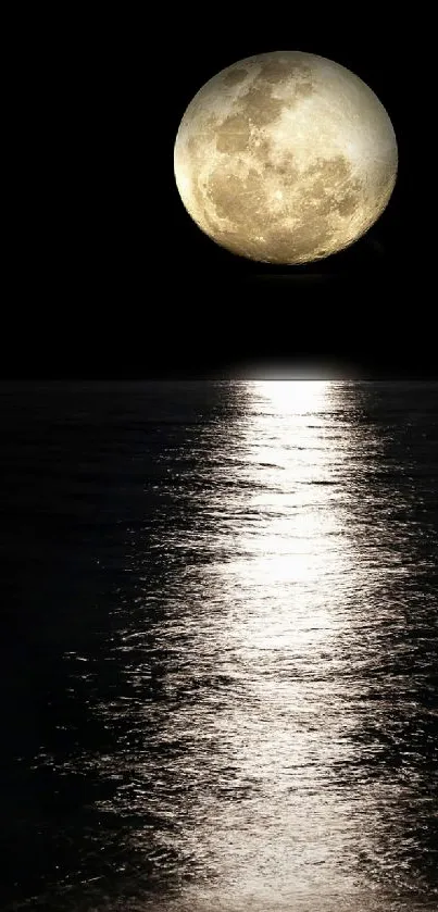 Moon reflecting over a calm ocean at night.