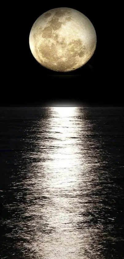 Full moon reflecting over a tranquil ocean at night.