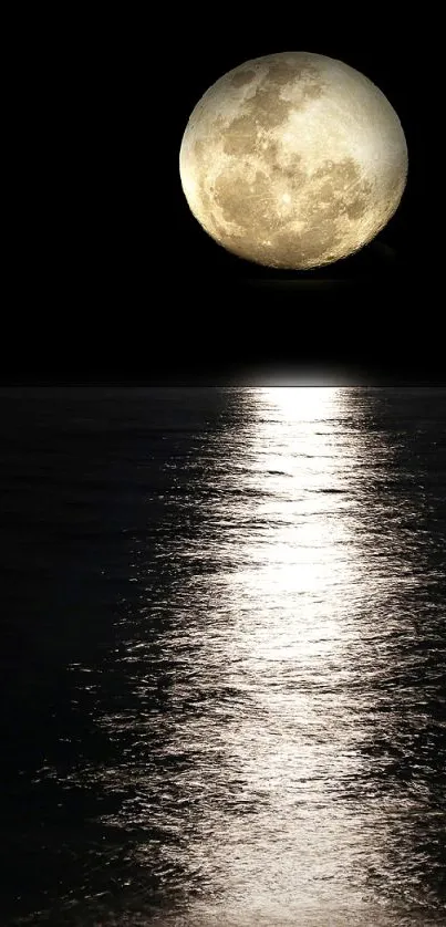 Full moon reflecting on a calm ocean at night.